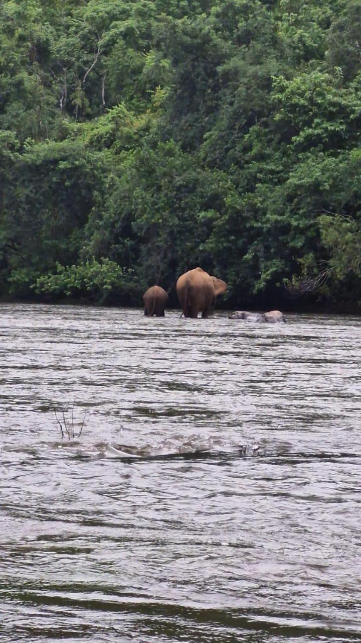 Falcon Riverview Resorts Kuttampuzha Luaran gambar