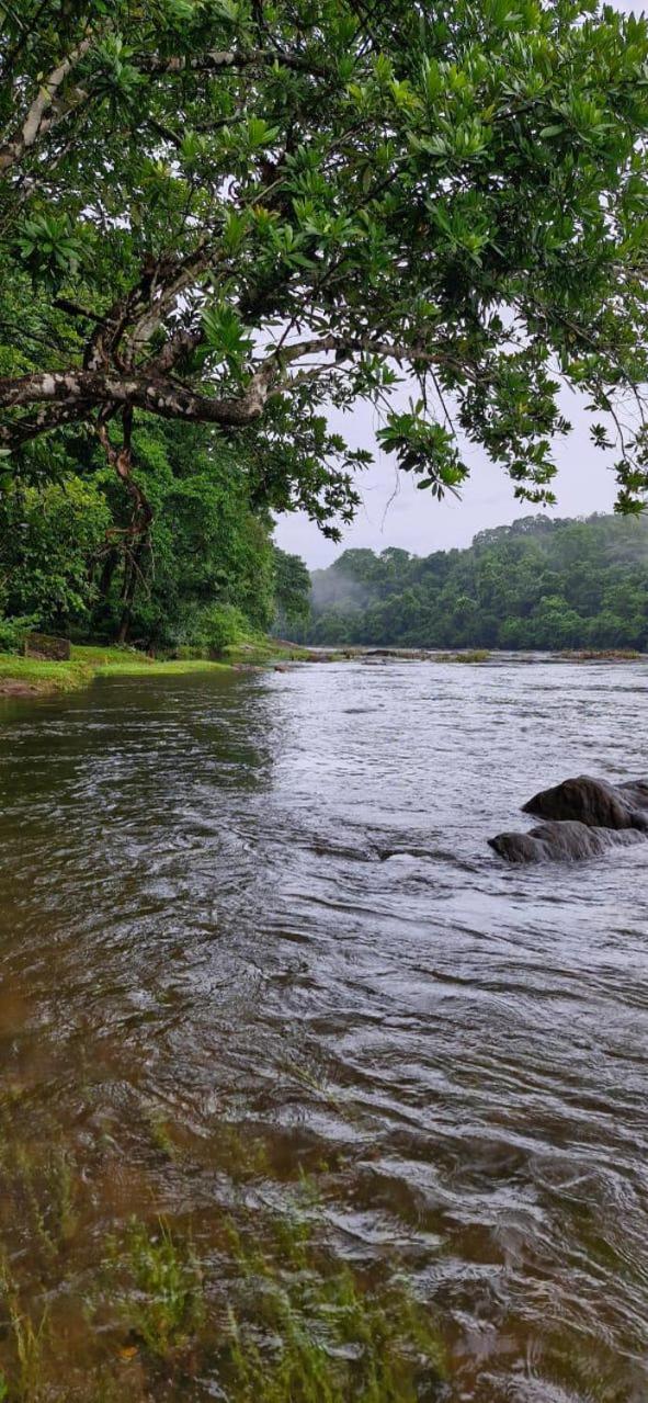 Falcon Riverview Resorts Kuttampuzha Luaran gambar